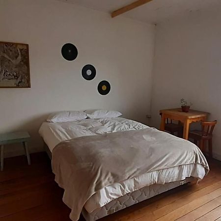 Casa Kila Hostel Valdivia Eksteriør billede