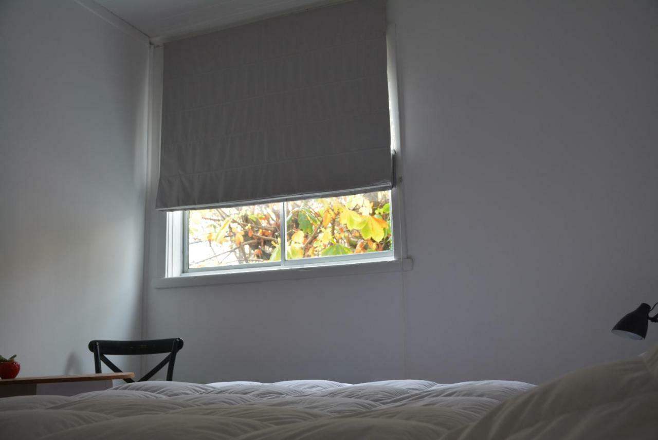 Casa Kila Hostel Valdivia Eksteriør billede